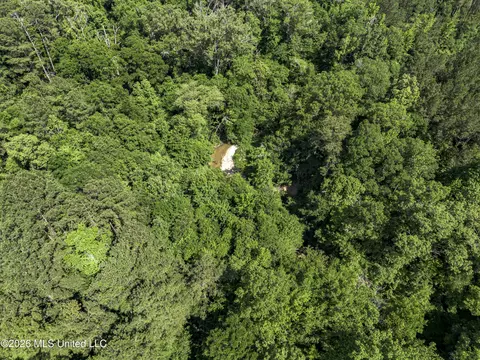 0 Steel Creek Rd, Georgetown, MS 39078 photo 7