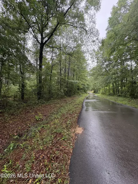 0 Steel Creek Rd, Georgetown, MS 39078 photo 11