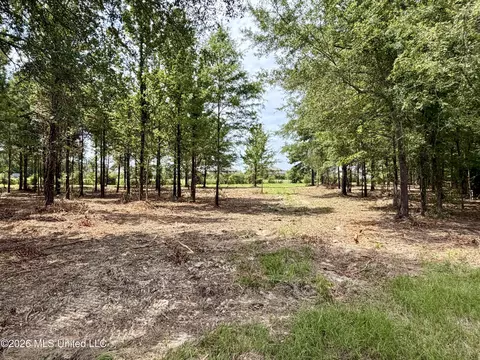 Interstate 55, Canton, MS 39046 photo 28