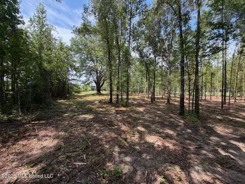 Interstate 55, Canton, MS 39046 photo 18