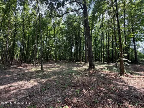 Interstate 55, Canton, MS 39046 photo 15