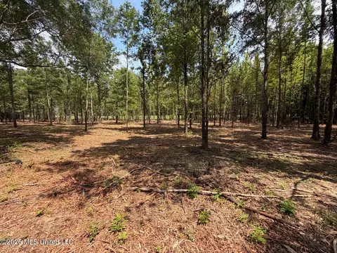 Interstate 55, Canton, MS 39046 photo 20