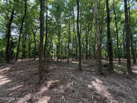 Interstate 55, Canton, MS 39046 photo 14