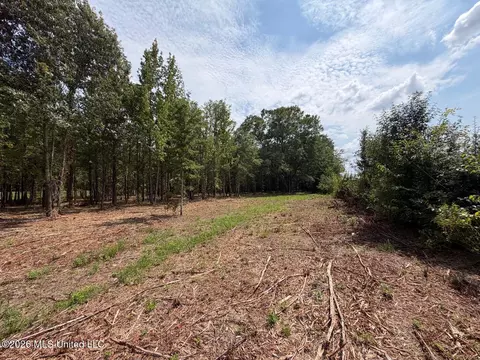 Interstate 55, Canton, MS 39046 photo 23