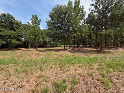 Interstate 55, Canton, MS 39046 photo 24