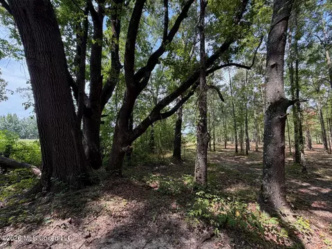 Interstate 55, Canton, MS 39046 photo 16