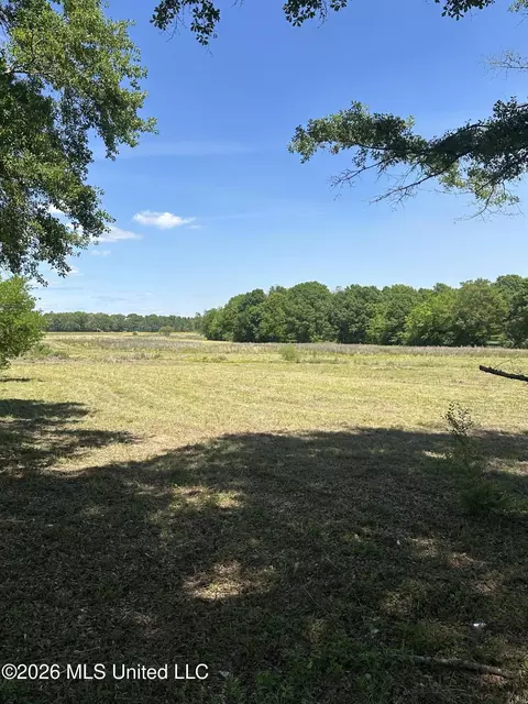 Holly Bush Road, Brandon, MS 39047