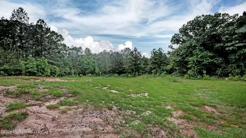 155 Dewitt Flynt Rd, Mendenhall, MS 39114 photo 29
