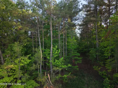 Stewart Weir Road, Stewart, MS 39767