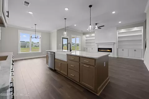 Other - 1755 Tributary Dr, Hernando, MS 38632 photo 9 of 18