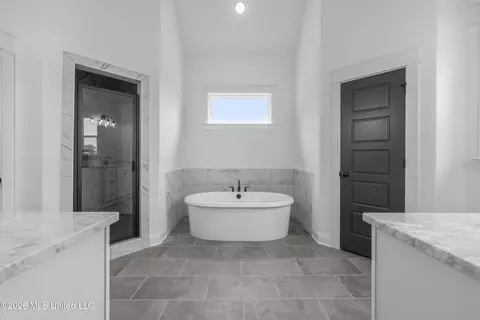 Bath - 1755 Tributary Dr, Hernando, MS 38632 photo 1 of 5