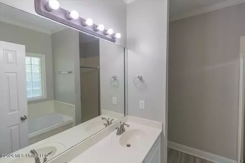 Bath - 220 Moss Valley Cir, Brandon, MS 39042 photo 2 of 3