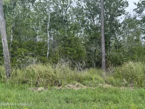 Nsn Lot 24 Piute Drive, Kiln, MS 39556