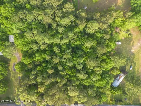 Boggy Road, Vancleave, MS 39565 photo 8
