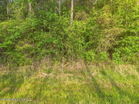 Boggy Road, Vancleave, MS 39565 photo 12