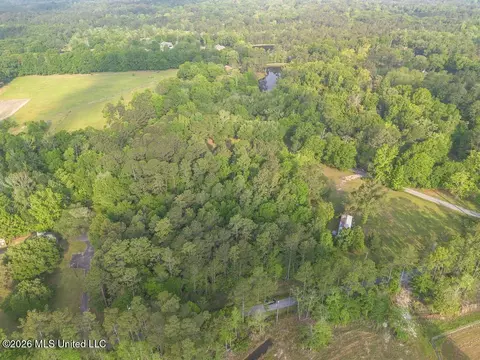 Boggy Road, Vancleave, MS 39565 photo 4