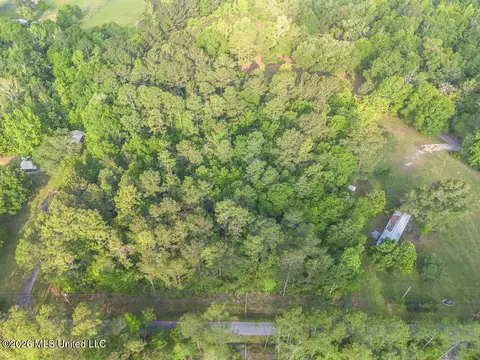 Boggy Road, Vancleave, MS 39565 photo 3