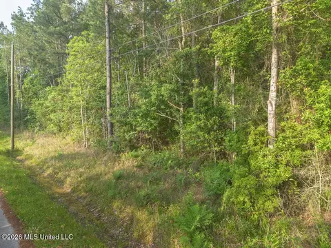 Boggy Road, Vancleave, MS 39565 photo 10