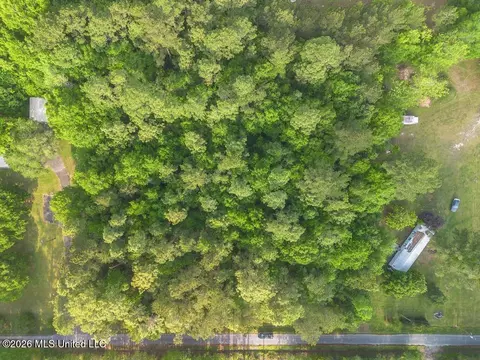Boggy Road, Vancleave, MS 39565 photo 7