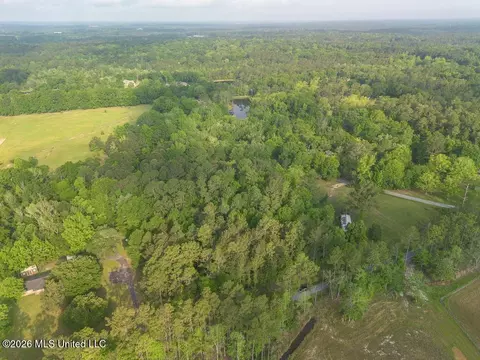Boggy Road, Vancleave, MS 39565 photo 5