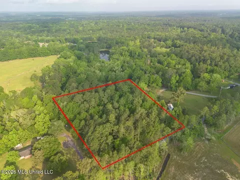 Boggy Road, Vancleave, MS 39565 photo 2