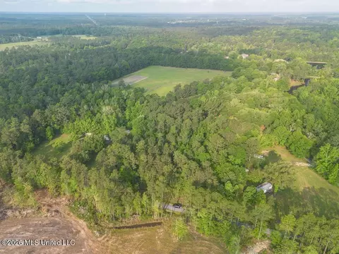 Boggy Road, Vancleave, MS 39565 photo 6