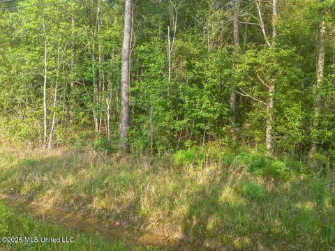 Boggy Road, Vancleave, MS 39565 photo 11