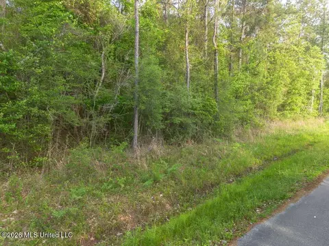 Boggy Road, Vancleave, MS 39565 photo 13