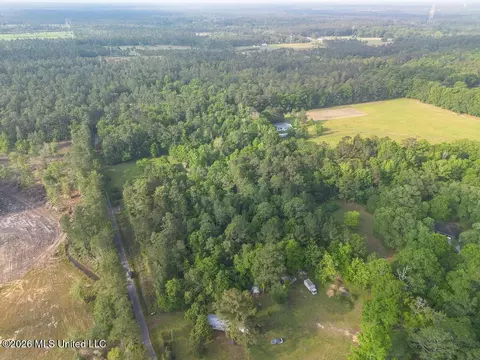 Boggy Road, Vancleave, MS 39565 photo 9