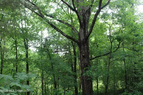 590 Richmond Rd, Byhalia, MS 38611
