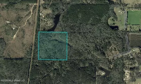 Owl Hoot Road, Perkinston, MS 39573