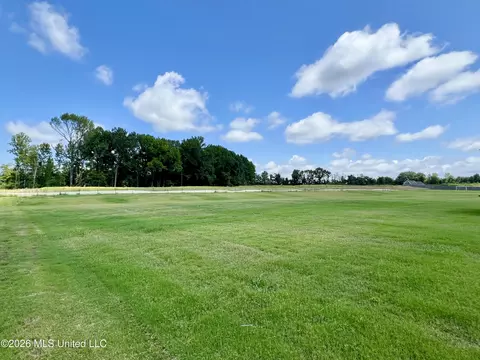 Other - 2521 Scott Meadows Ln, Hernando, MS 38632 photo 6 of 6