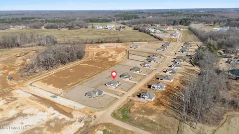View/Area - 2521 Scott Meadows Ln, Hernando, MS 38632 photo 3 of 3