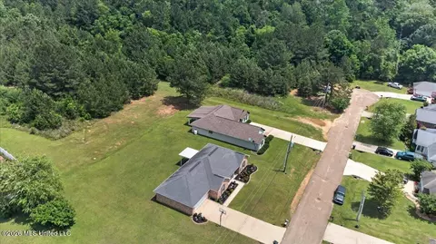 View/Area - 123 Fox Run Dr, Mccomb, MS 39648 photo 7 of 9