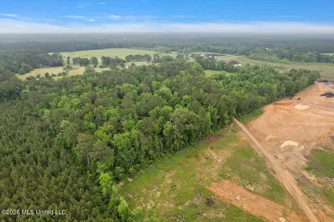Calhoun Lane, Forest, MS 39074 photo 5
