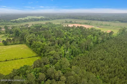 Calhoun Lane, Forest, MS 39074 photo 4
