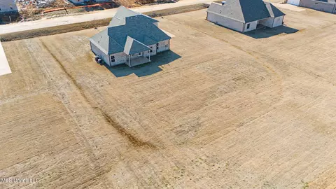 View/Area - 2499 Scott Meadows Ln, Hernando, MS 38632 photo 2 of 4