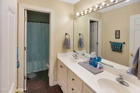 Bath - 373 Avalon Way, Brandon, MS 39047 photo 3 of 3