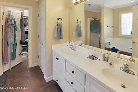 Bath - 373 Avalon Way, Brandon, MS 39047 photo 1 of 3