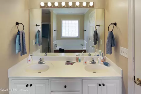 Bath - 373 Avalon Way, Brandon, MS 39047 photo 2 of 3
