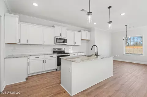 Other - 2473 Scott Meadows Ln, Hernando, MS 38632 photo 4 of 6