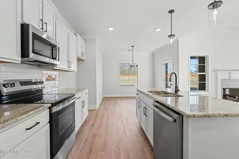 Other - 2473 Scott Meadows Ln, Hernando, MS 38632 photo 5 of 6