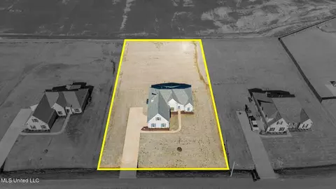 View/Area - 2473 Scott Meadows Ln, Hernando, MS 38632 photo 3 of 4