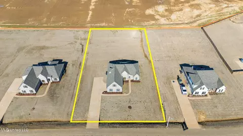 View/Area - 2473 Scott Meadows Ln, Hernando, MS 38632 photo 2 of 4