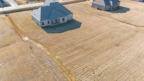 View/Area - 2473 Scott Meadows Ln, Hernando, MS 38632 photo 1 of 4