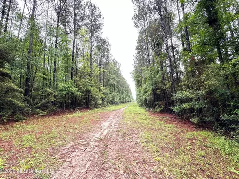 000 Emerald State Line Rd, Magnolia, MS 39652