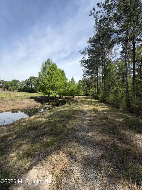 0 N Neely Avera Rd, Neely, MS 39461 photo 8