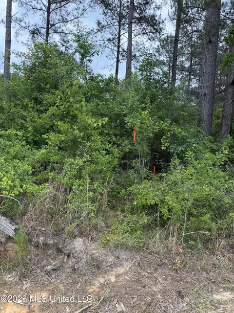 0 N Neely Avera Rd, Neely, MS 39461 photo 11