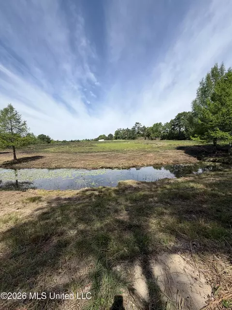 0 N Neely Avera Rd, Neely, MS 39461 photo 15
