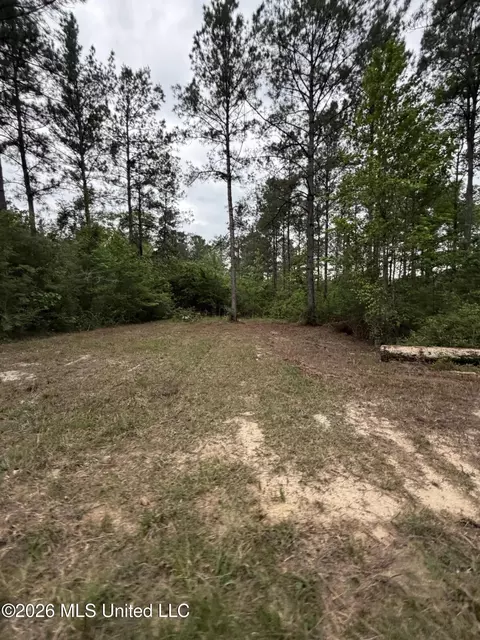 0 N Neely Avera Rd, Neely, MS 39461 photo 13